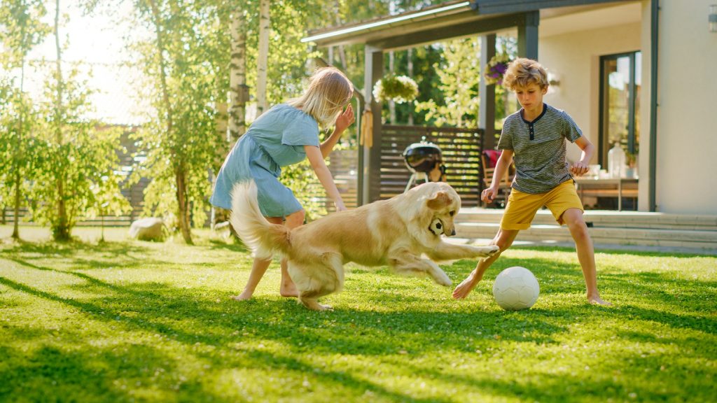 Two kids having fun in the front yard