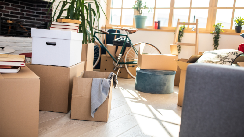 Eco-Friendly Moving and Packing Ideas